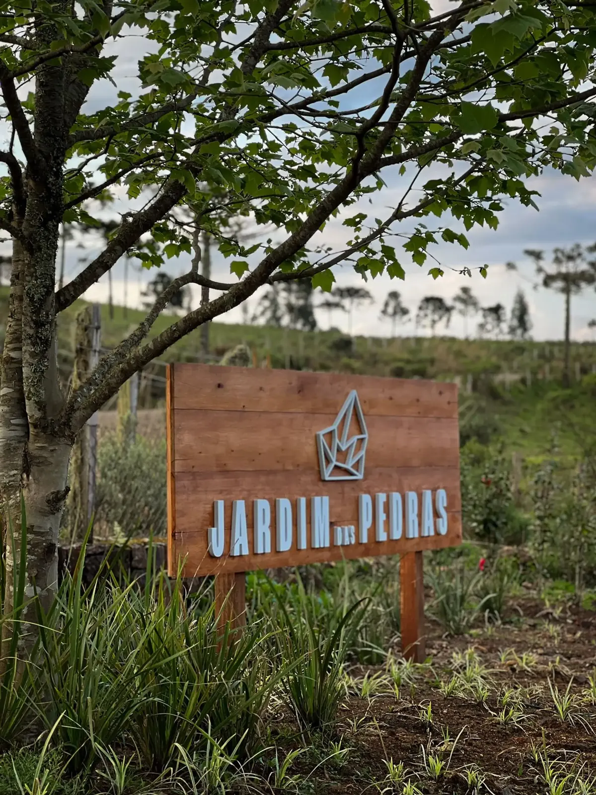 Cesta de piquenique sobre toalha xadrez no campo